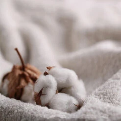 Melody Cotton Bath Towel - 28" X 55" -qbedding store 6 2 6e5003e8 2e18 425f 9cd5 81679c5efa65