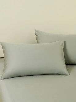 Sunny Green Premium Cotton Standard Pillow Sham X2p