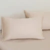 Coco Apricot Premium Cotton Standard Pillow Sham X2p -qbedding store Image 1748599178049
