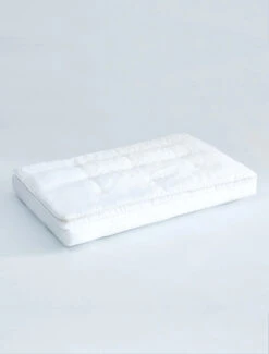 PiloMio® Soft & Lofty Silk Pillow