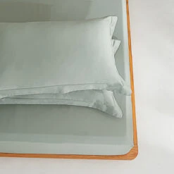 Sunny Green Premium Cotton Fitted Sheet -qbedding store Y00 1295