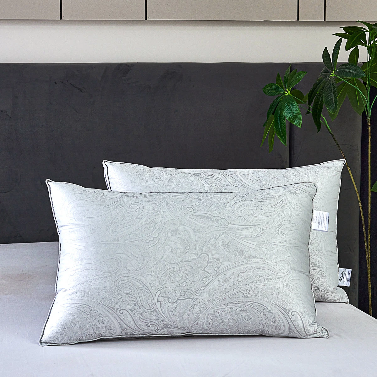 Beauty Sleep Micro-fiber Pillow 9 Beauty Sleep Micro-fiber Pillow - Image 7