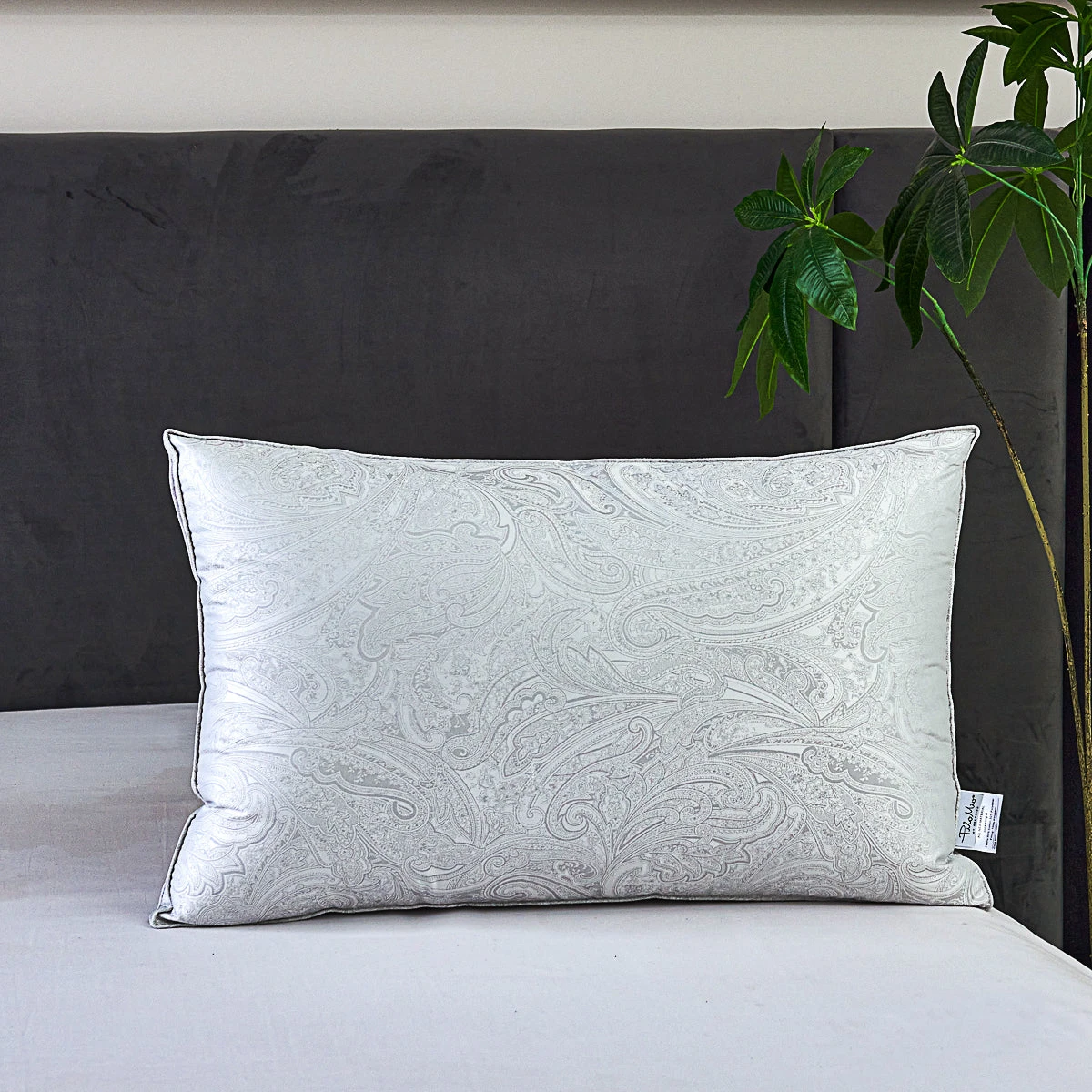 Beauty Sleep Micro-fiber Pillow 5 Beauty Sleep Micro-fiber Pillow - Image 3