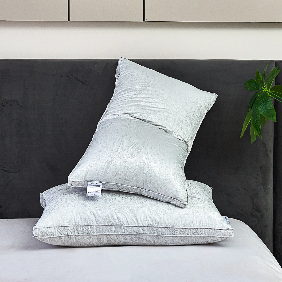 Beauty Sleep Micro-fiber Pillow 7 Beauty Sleep Micro-fiber Pillow - Image 5